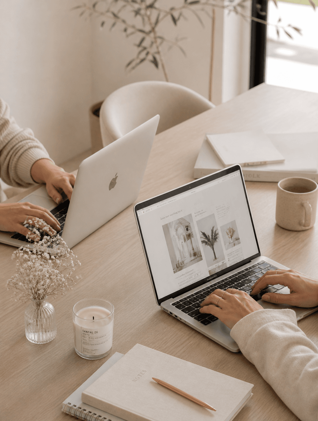 About almanova consulting